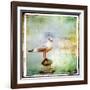 Sea Gull-Artistic Retro Styled Picture-Maugli-l-Framed Art Print