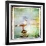 Sea Gull-Artistic Retro Styled Picture-Maugli-l-Framed Art Print