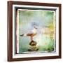 Sea Gull-Artistic Retro Styled Picture-Maugli-l-Framed Art Print