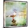 Sea Gull-Artistic Retro Styled Picture-Maugli-l-Mounted Art Print
