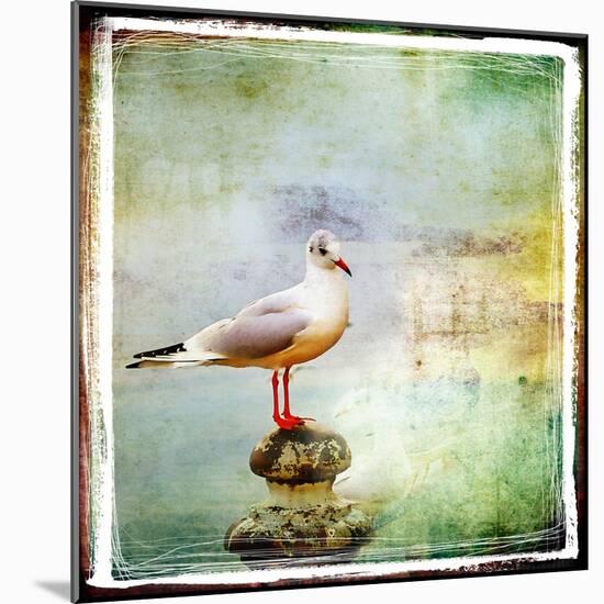 Sea Gull-Artistic Retro Styled Picture-Maugli-l-Mounted Art Print