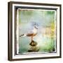 Sea Gull-Artistic Retro Styled Picture-Maugli-l-Framed Premium Giclee Print