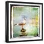 Sea Gull-Artistic Retro Styled Picture-Maugli-l-Framed Premium Giclee Print