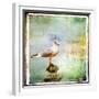 Sea Gull-Artistic Retro Styled Picture-Maugli-l-Framed Premium Giclee Print