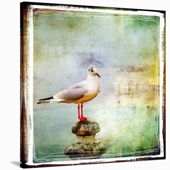 Sea Gull-Artistic Retro Styled Picture-Maugli-l-Stretched Canvas