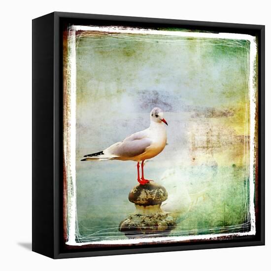 Sea Gull-Artistic Retro Styled Picture-Maugli-l-Framed Stretched Canvas