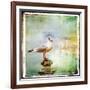 Sea Gull-Artistic Retro Styled Picture-Maugli-l-Framed Premium Giclee Print