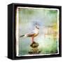 Sea Gull-Artistic Retro Styled Picture-Maugli-l-Framed Stretched Canvas