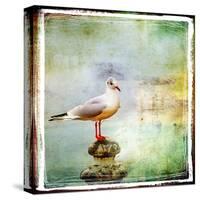 Sea Gull-Artistic Retro Styled Picture-Maugli-l-Stretched Canvas