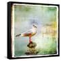 Sea Gull-Artistic Retro Styled Picture-Maugli-l-Framed Stretched Canvas