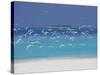 Sea Gulls and Resort, the Maldives, Indian Ocean-Sakis Papadopoulos-Stretched Canvas