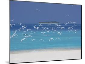 Sea Gulls and Resort, the Maldives, Indian Ocean-Sakis Papadopoulos-Mounted Photographic Print