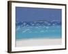 Sea Gulls and Resort, the Maldives, Indian Ocean-Sakis Papadopoulos-Framed Photographic Print