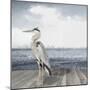 Sea Heron-Sasha-Mounted Giclee Print