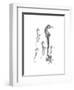 Sea Horse Collage-Albert Koetsier-Framed Premium Giclee Print