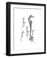 Sea Horse Collage-Albert Koetsier-Framed Premium Giclee Print