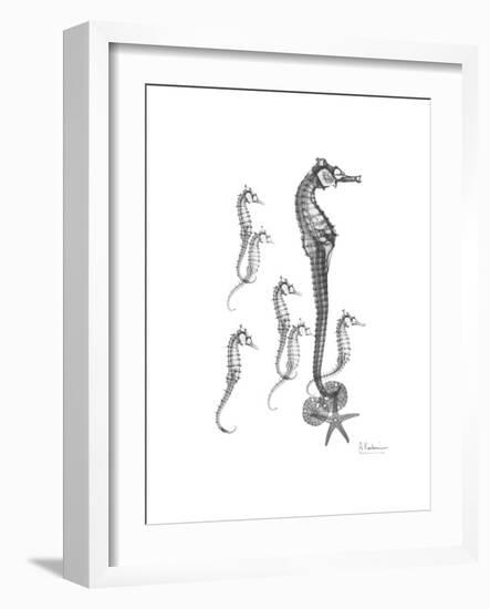 Sea Horse Collage-Albert Koetsier-Framed Premium Giclee Print