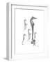 Sea Horse Collage-Albert Koetsier-Framed Premium Giclee Print