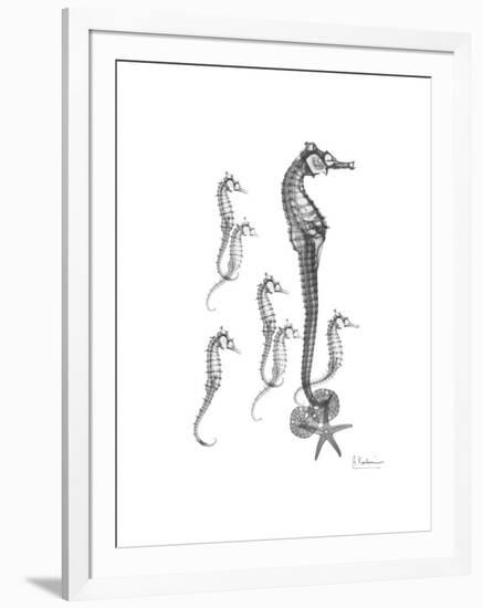 Sea Horse Collage-Albert Koetsier-Framed Premium Giclee Print