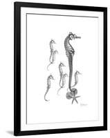 Sea Horse Collage-Albert Koetsier-Framed Premium Giclee Print