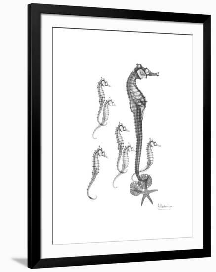 Sea Horse Collage-Albert Koetsier-Framed Premium Giclee Print