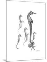 Sea Horse Collage-Albert Koetsier-Mounted Premium Giclee Print