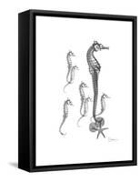 Sea Horse Collage-Albert Koetsier-Framed Stretched Canvas