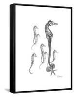 Sea Horse Collage-Albert Koetsier-Framed Stretched Canvas