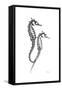 Sea Horse Gray-Albert Koetsier-Framed Stretched Canvas