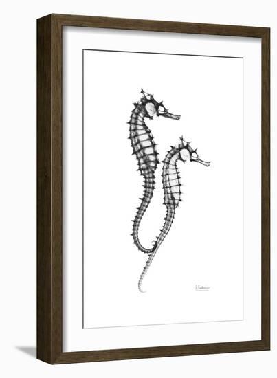 Sea Horse Gray-Albert Koetsier-Framed Premium Giclee Print