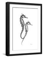 Sea Horse Gray-Albert Koetsier-Framed Premium Giclee Print