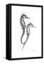 Sea Horse Gray-Albert Koetsier-Framed Stretched Canvas