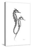 Sea Horse Gray-Albert Koetsier-Stretched Canvas