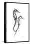 Sea Horse Gray-Albert Koetsier-Framed Stretched Canvas