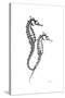 Sea Horse Gray-Albert Koetsier-Stretched Canvas