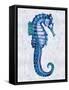Sea Horse II-Melonie Miller-Framed Stretched Canvas