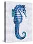 Sea Horse II-Melonie Miller-Stretched Canvas