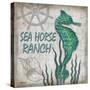 Sea Horse Ranch-Todd Williams-Stretched Canvas