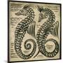 Sea-Horse (W/C on Paper)-William De Morgan-Mounted Giclee Print
