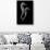 Sea Horse Xray-Albert Koetsier-Art Print displayed on a wall