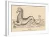 Sea Horse-null-Framed Art Print