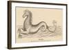 Sea Horse-null-Framed Art Print