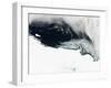 Sea Ice and Icebergs Floating Along the Mawson Coast of East Antarctica-null-Framed Photographic Print