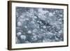 Sea Ice Broken up by a Ship-DLILLC-Framed Photographic Print