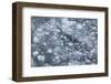 Sea Ice Broken up by a Ship-DLILLC-Framed Photographic Print