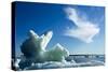 Sea Ice, Hudson Bay, Canada-null-Stretched Canvas