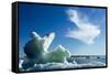 Sea Ice, Hudson Bay, Canada-null-Framed Stretched Canvas