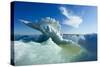 Sea Ice, Hudson Bay, Canada-null-Stretched Canvas