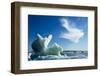 Sea Ice, Hudson Bay, Canada-null-Framed Photographic Print