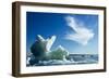 Sea Ice, Hudson Bay, Canada-null-Framed Photographic Print